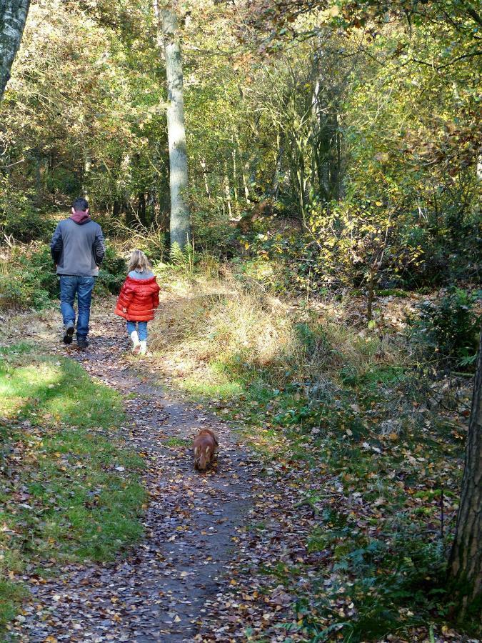 Wildenborcherhof Vorden Esterno foto